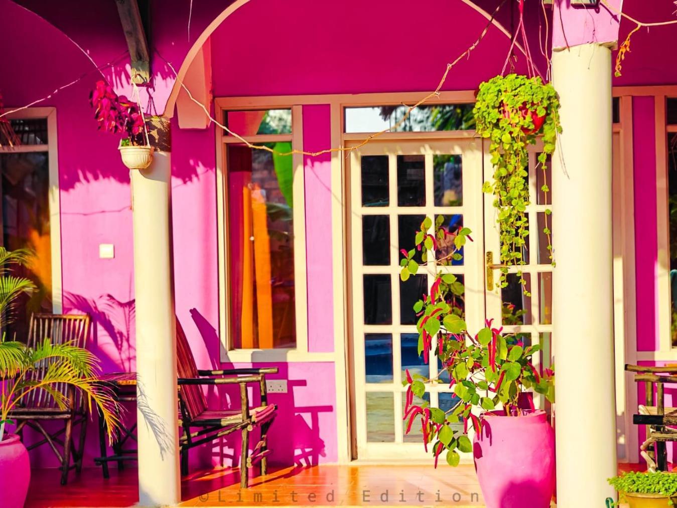 Nungwi Roses Villa Exteriör bild